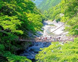 ◆長期派遣◆【徳島県三好市】 10月　時給4000円　住居あり　辻駅から車で5分