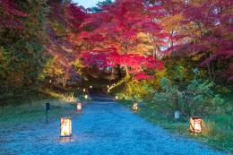 【青森県弘前市】◆人気の遠隔地◆12月のレギュラー派遣◆時給3500円◆駅から徒歩5分♪