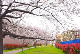 ◆週1派遣【神奈川県横浜市港北区】◆12月/1月◆時給3300円★駅チカ徒歩1分★