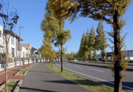 ◆長期派遣◆【千葉県白井市】時給3000円◆12月・1月◆週4日◆千葉ニュータウン中央駅