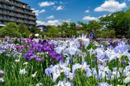 【葛飾区/年収550万円以上可】☆堀切菖蒲園駅近く☆整形外科メインの地域密着型の薬局です☆